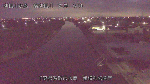 yoko2026022006_image