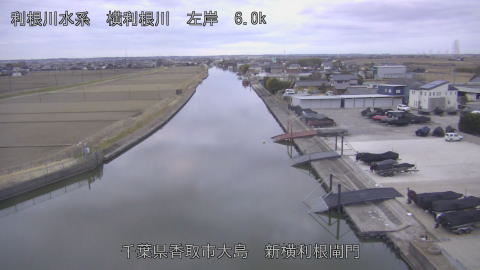 yoko2026022007_image