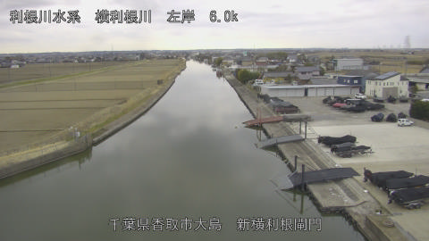 yoko2026022008_image