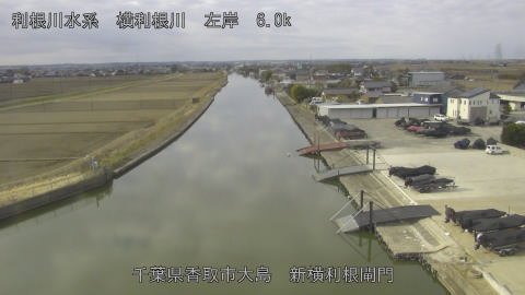 yoko2026022009_image