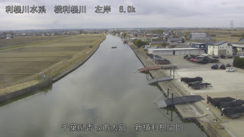 yoko2026022010_image