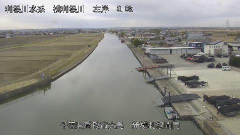 yoko2026022011_image