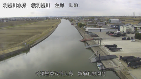 yoko2026022012_image