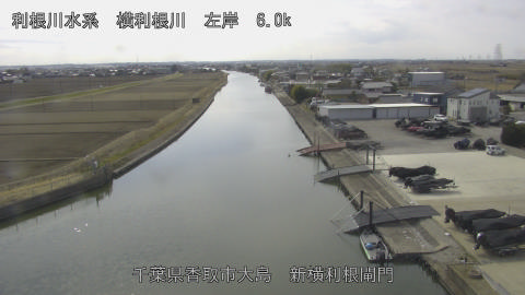 yoko2026022013_image