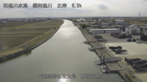 yoko2026022014_image