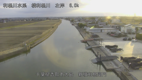 yoko2026022017_image