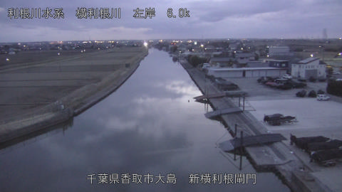 yoko2026022018_image