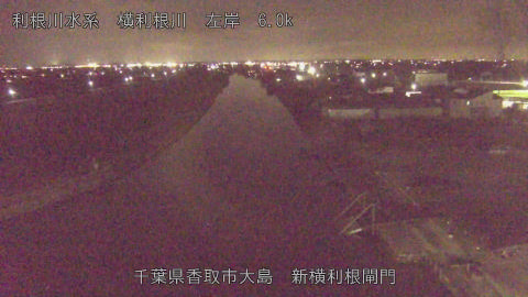 yoko2026022019_image