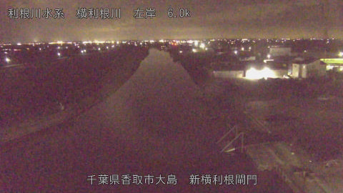 yoko2026022020_image