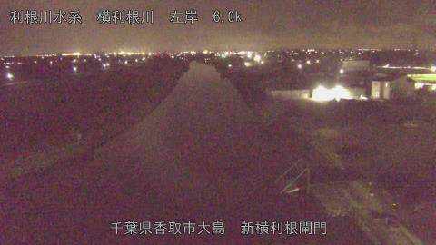 yoko2026022021_image