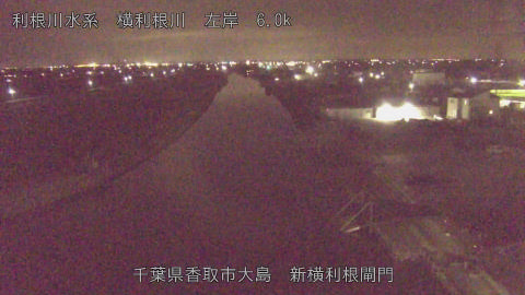 yoko2026022022_image