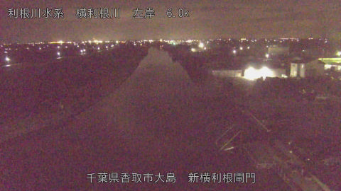 yoko2026022023_image