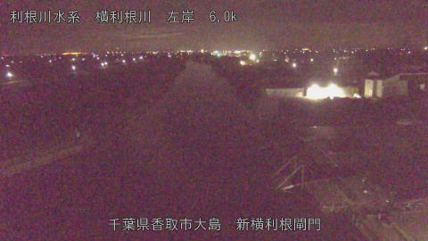 yoko2026022105_image