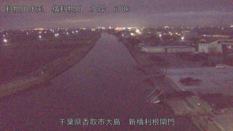 yoko2026022106_image