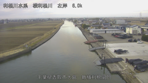 yoko2026022107_image