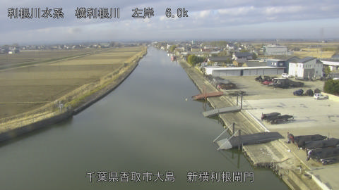 yoko2026022108_image