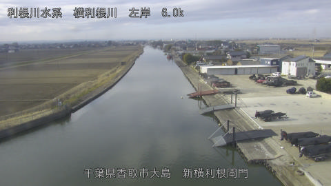 yoko2026022109_image