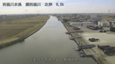 yoko2026022111_image