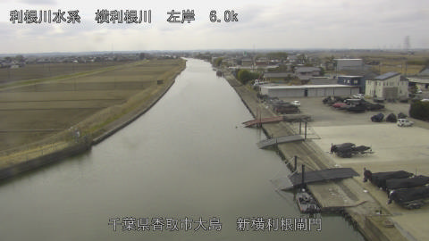 yoko2026022112_image