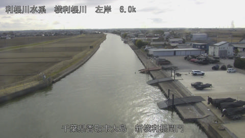 yoko2026022115_image