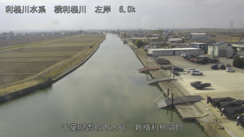 yoko2026022212_image