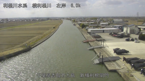 yoko2026022312_image