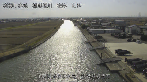 yoko2026022314_image