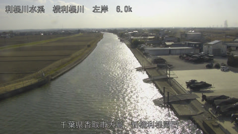 yoko2026022315_image