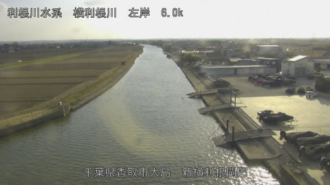 yoko2026022316_image