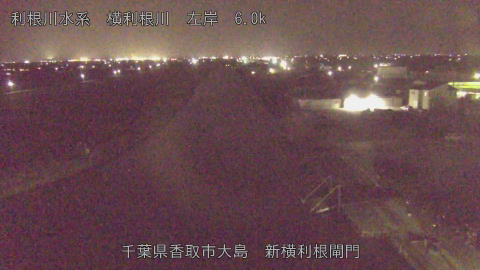 yoko2026022320_image