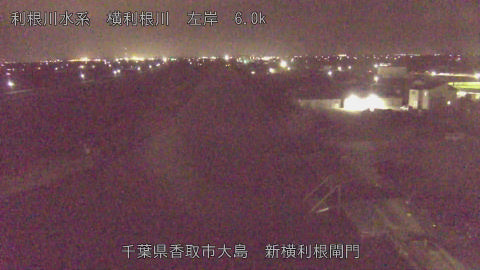 yoko2026022322_image