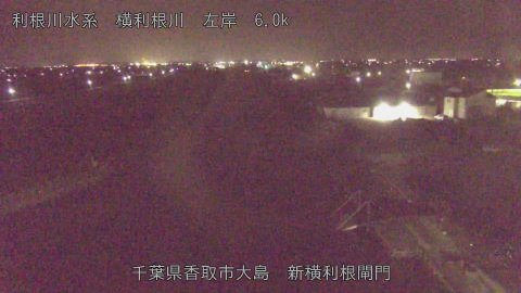 yoko2026022400_image