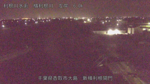 yoko2026022401_image