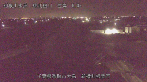 yoko2026022402_image