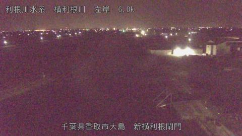 yoko2026022403_image