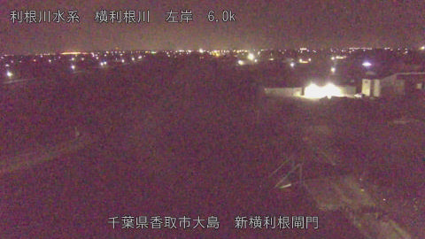 yoko2026022404_image