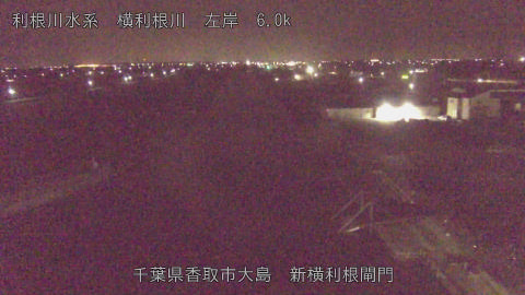 yoko2026022405_image