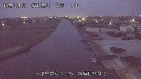 yoko2026022406_image