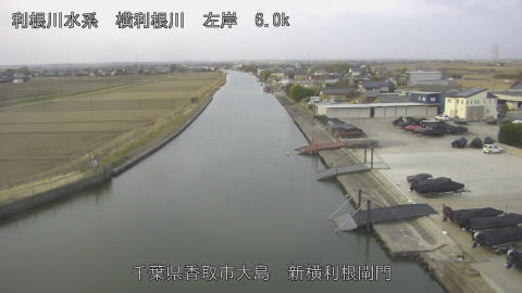 yoko2026022407_image