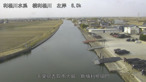 yoko2026022408_image