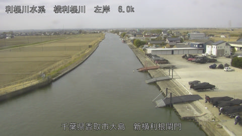 yoko2026022409_image