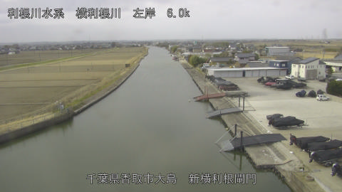 yoko2026022410_image