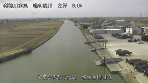 yoko2026022411_image