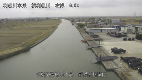 yoko2026022412_image