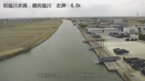 yoko2026022413_image