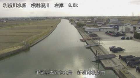 yoko2026022415_image