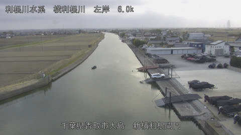 yoko2026022416_image