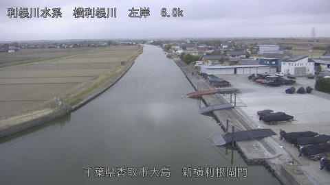 yoko2026022417_image