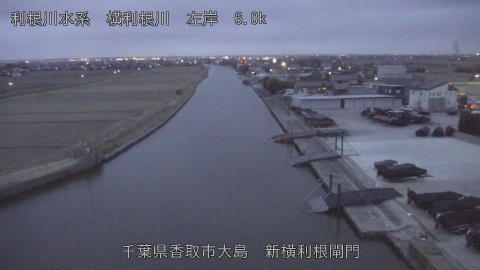 yoko2026022418_image