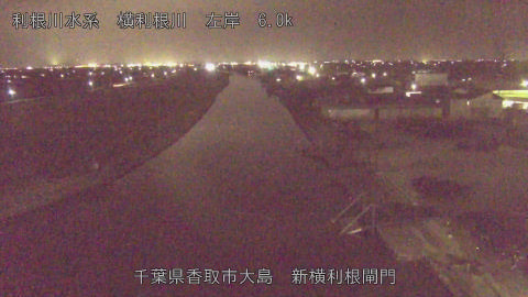 yoko2026022419_image